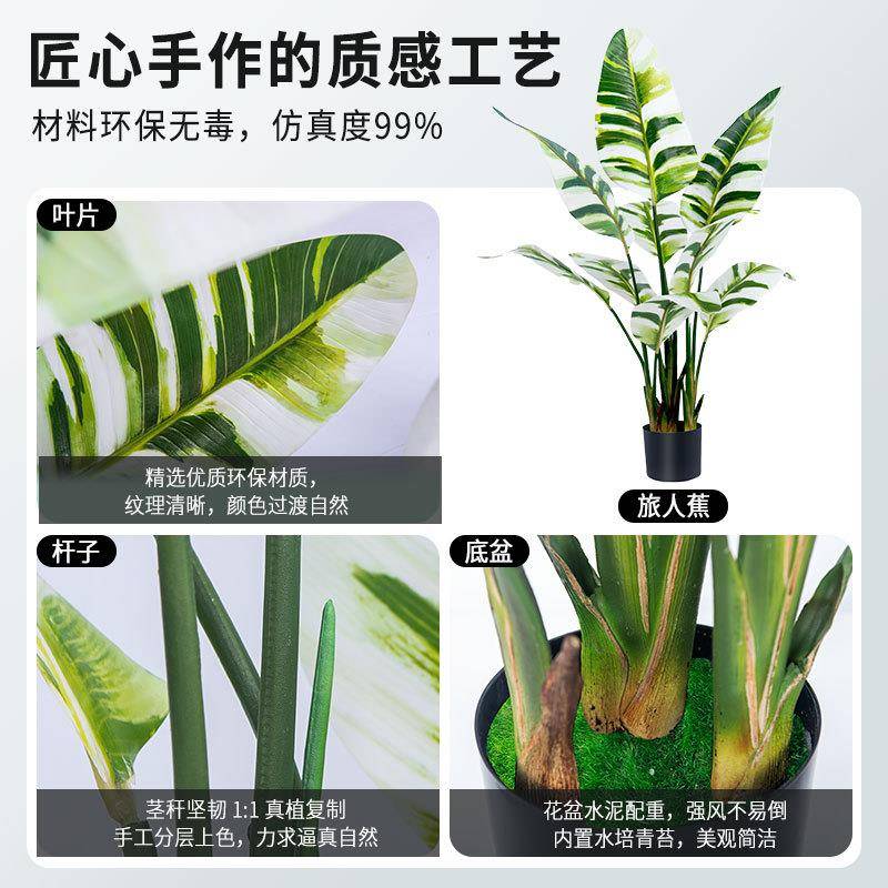 白锦旅3人仿真绿植仿真D树IBD家居摆件注塑打印旅人蕉仿真蕉树盆