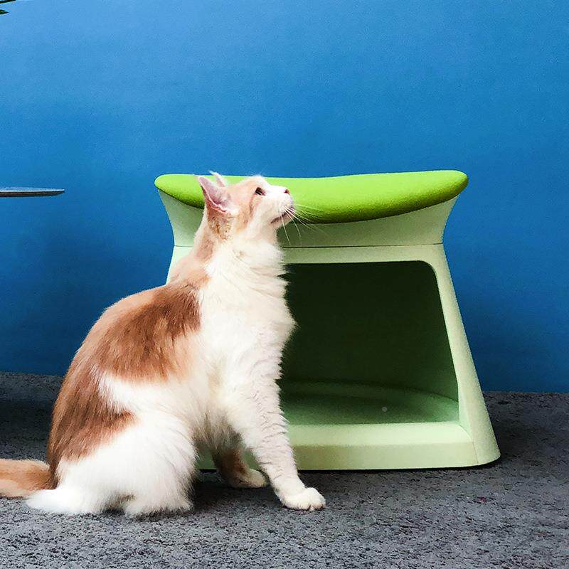 窝凳包邮创意猫凳子闭猫窝猫105房子别墅半封多功能猫塑料宠物窝
