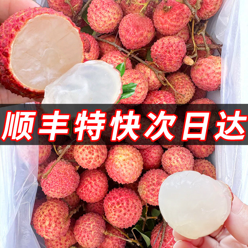 桂味荔枝新鲜现摘现发白妃子糖罂笑水果2026应季10斤广东增城特产