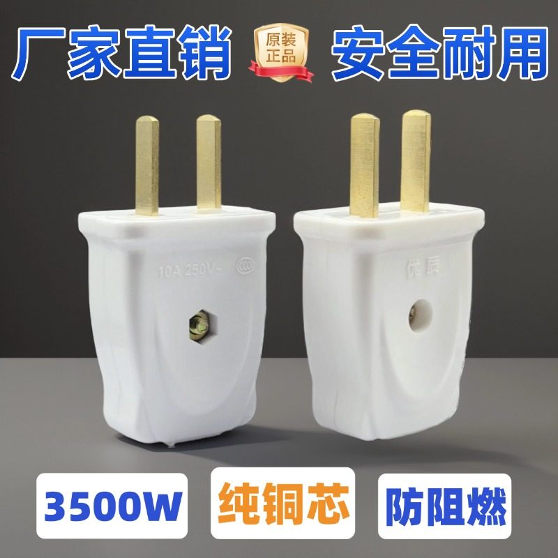 正品3500W二脚插头纯铜大功率10A家用二插摔不烂二极电源二插头