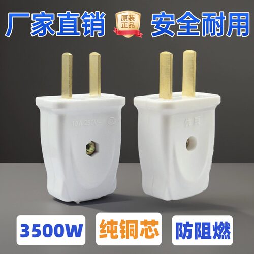 3500W纯铜10A二脚插头摔不烂