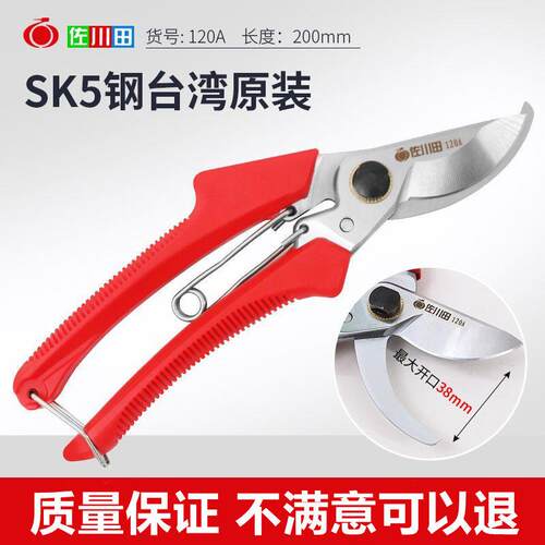 剪花枝剪刀SK5钢修枝剪刀园林家用工具果树果园剪刀园艺剪粗枝剪