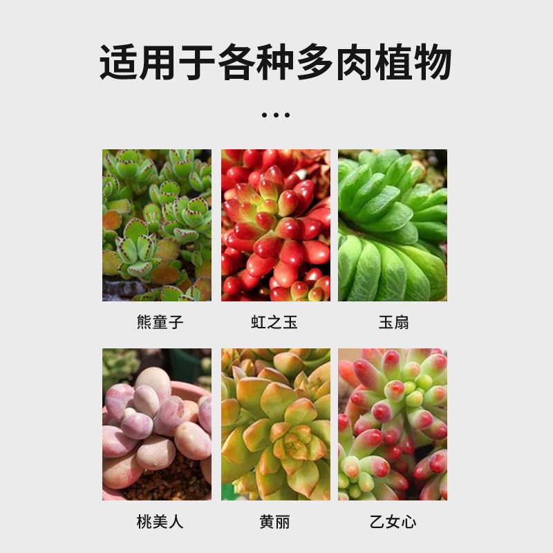 多肉营养液专用肥花肥料肉肉植物浓缩家用盆栽水溶通用型增色生根