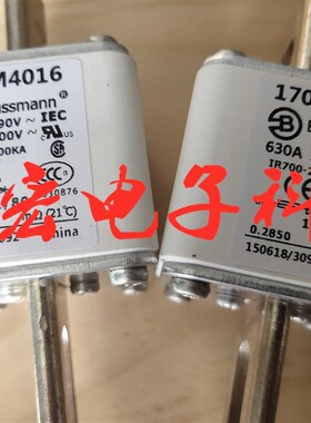 原装 高压熔断器170M4016 低压熔断器 保险丝熔断器 拍咨询