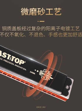 东方鼎2孔新款T2K复音入门初学专业演奏口琴升级款#BEFG调