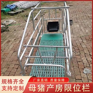 猪用产床母猪产床全一整加厚落地式母猪产床两用产床