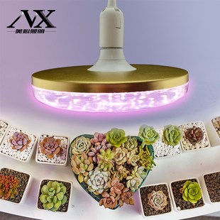 多肉补光灯LD光照灯仿太阳光卉上色室内家用全光谱生长灯