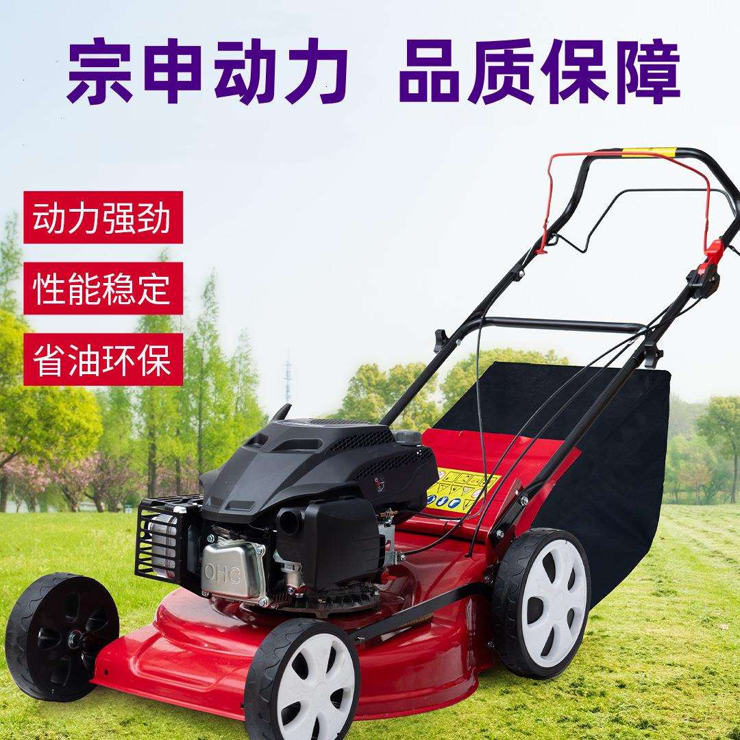 16/18/20/21寸汽油割草机手推式割草机花园除草剪草机草坪修整机图片