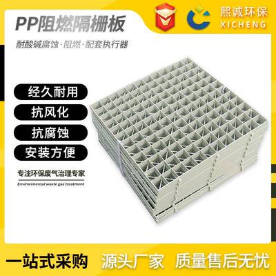PP格栅板喷淋塔填料层支撑板塑料网格板废气塔拼接格栅孔板耐腐
