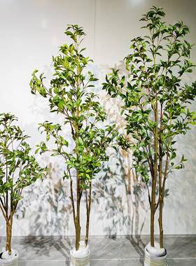 仿真绿植马醉木落地绿色植物盆栽室内客厅福禄寿盆景摆件