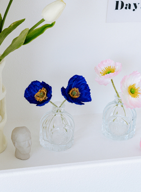 玻璃瓶插客厅卧室玄关桌面办公室装饰家居饰品治愈小物件