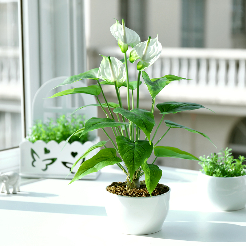 和家红掌超仿真花盆栽装落地花客厅装饰花假花绿植酒店家居饰品