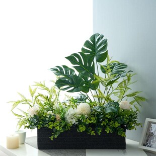 室内桌面仿真假绿植箱客厅玄关电视柜栅栏装饰品艺