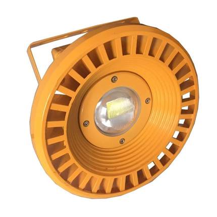 LED免维护防爆灯投光灯集成式防爆灯FGV6209