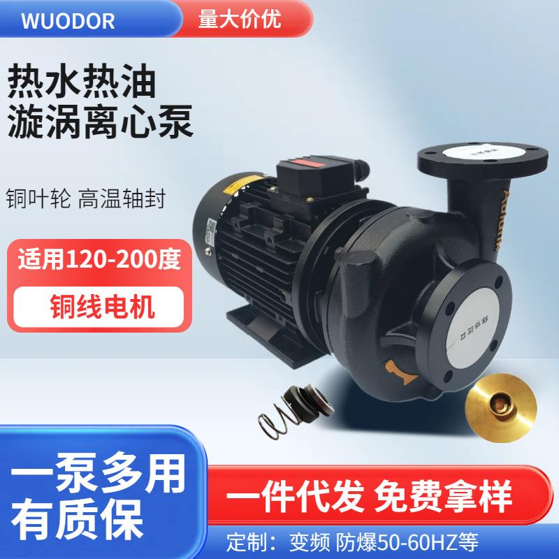 导热循环油泵RGP-75-200卧式电动高温热水模温机增压铜叶轮轴封