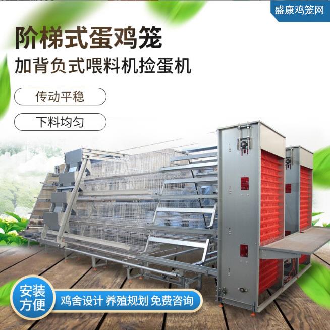 阶梯式蛋鸡笼养殖场家用养鸡设备热镀锌蛋鸡笼具加捡蛋机全自动