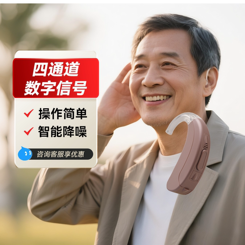 丽声VJ55耳背式助听器
