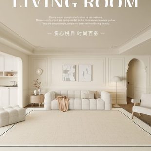现代风防水防污轻奢高级感圈绒家用沙发免洗可擦 地毯客厅2024新款