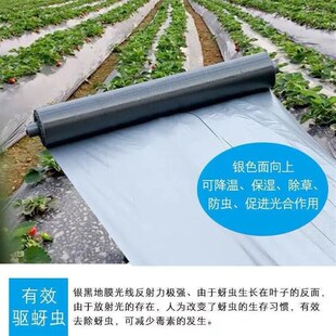 银黑地膜反光色塑料膜果树果园保温保湿增温加厚除草银灰防虫
