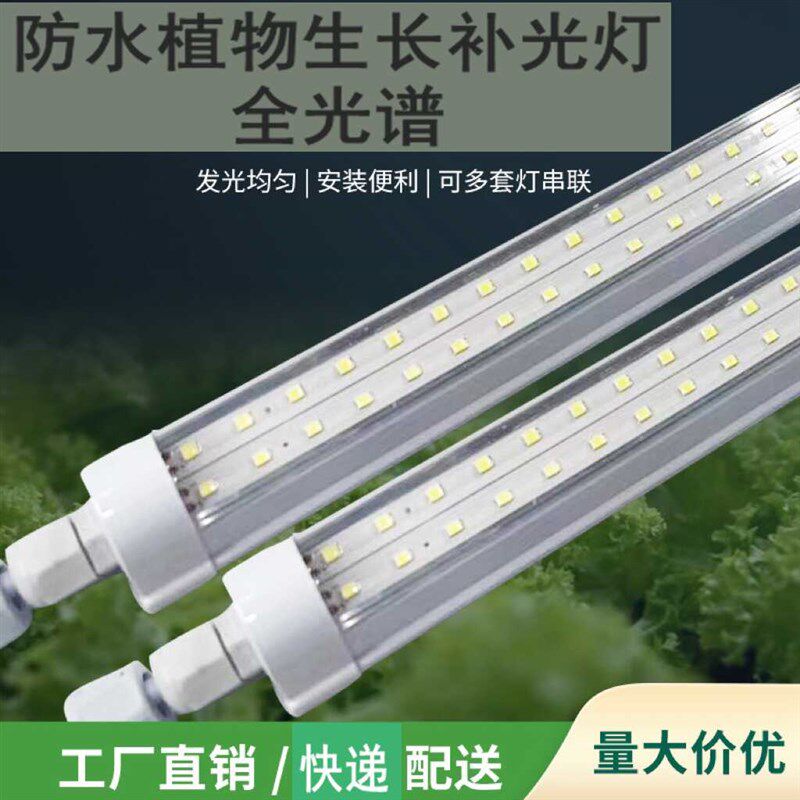 生长管育苗组培温室水培全光谱多肉补光灯