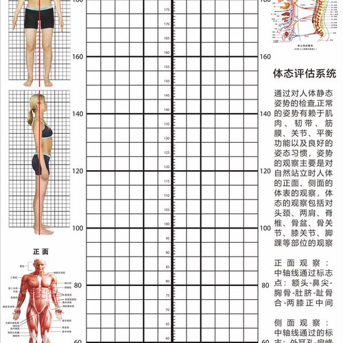 身臂展量墙整张自粘量球馆儿童房售票处