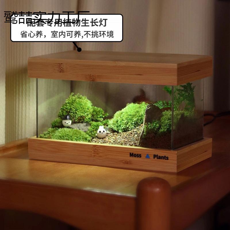苔藓微景观造景创意摆件生态闷养盒送礼办公室桌面成品绿植生态缸