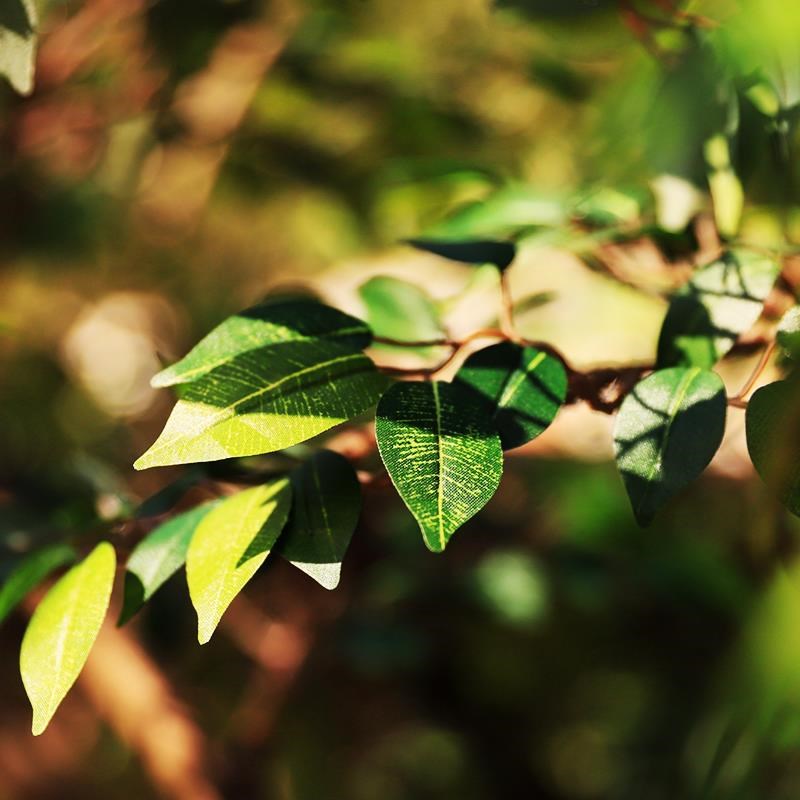 彷真树大型榕树绿植落地s假树室内实木景观树商场橱窗别墅造景装