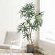 大型仿真仿生绿植景观雀木室内客厅端装 饰落地