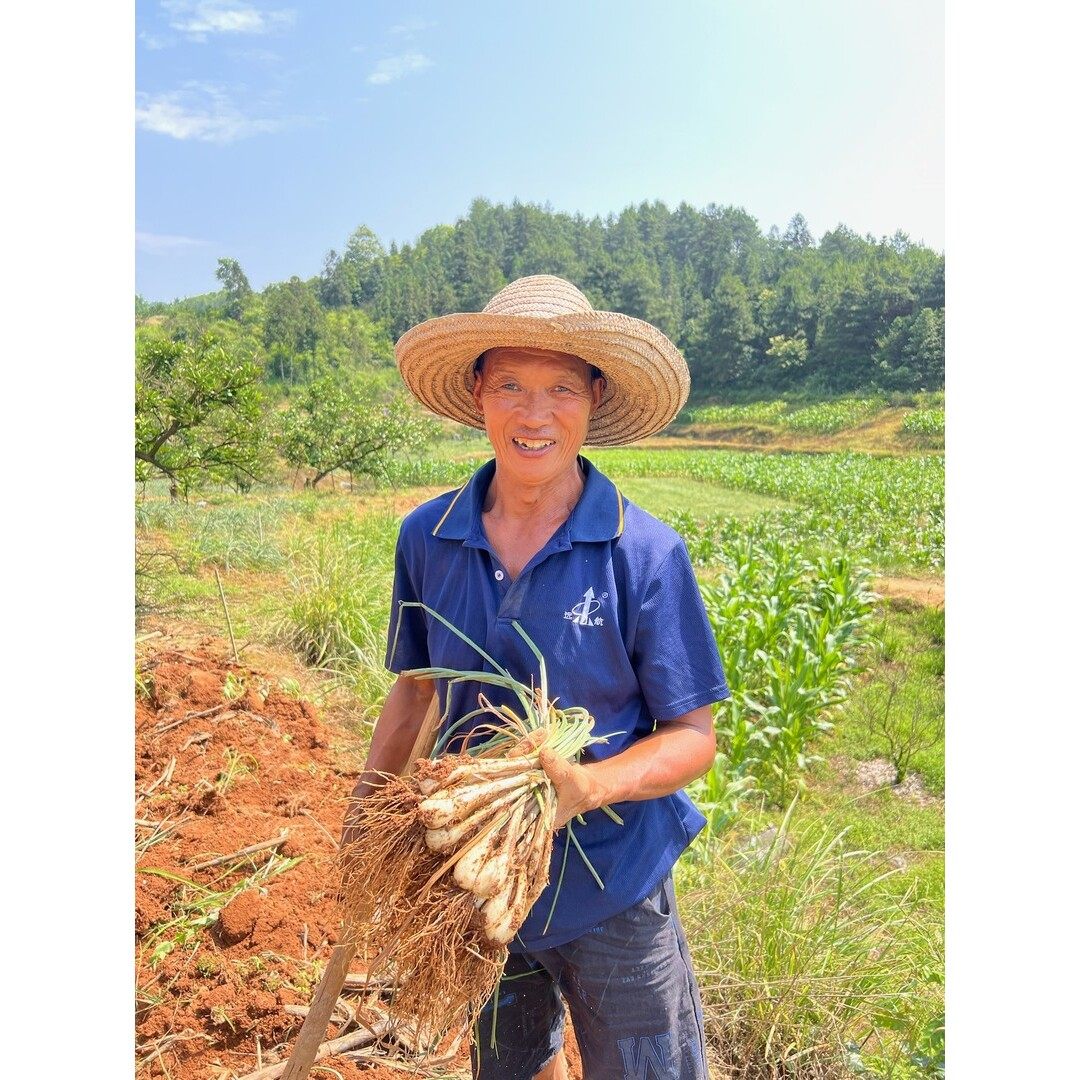 【暖心助农】老坛酸辣藠头荞头腌制泡菜开盖即食湖南特产酸酸辣辣,粮油调味/速食/干货/烘焙,下饭/拌饭酱/拌饭料,淘宝优惠券,粉丝福利购,淘宝优惠卷
