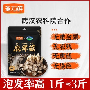 菇万鲜【低脂】精品深山干鹿茸菇干菇野生菌菌菇干锅菇菌110g/袋