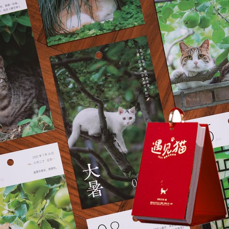 年遇见猫古诗词日历文艺小新台历天页