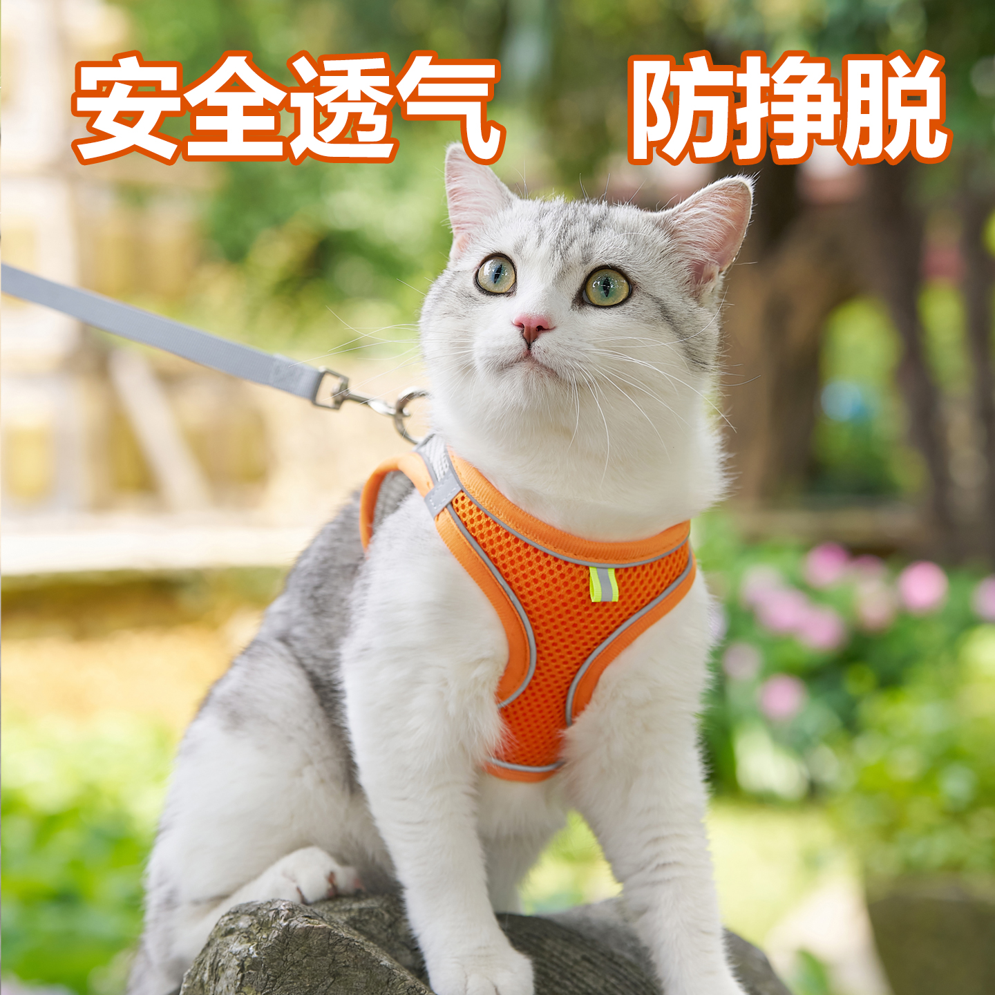猫牵引绳防挣脱外出专用猫咪遛猫绳溜小猫不