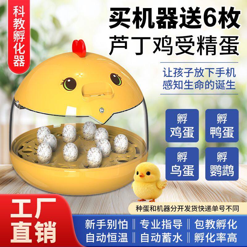 送蛋科教孵化器小型家用全自动控温恒温孵化箱芦丁鸡儿童孵蛋器