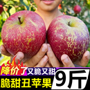 2025云南昭通丑苹果新鲜当季 水果冰糖心红富士红露平果整箱