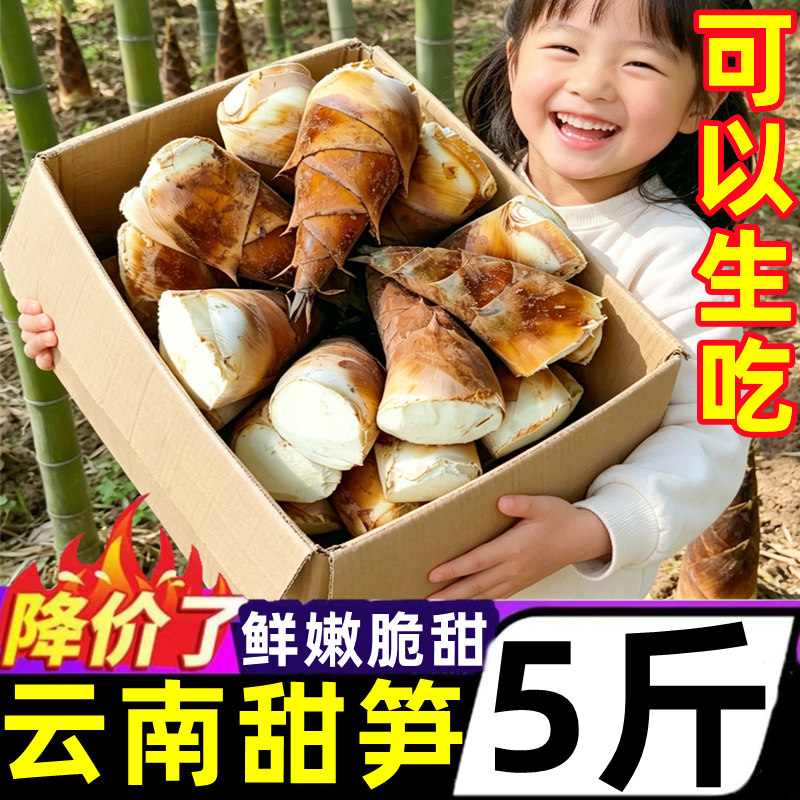云南高山甜笋新鲜5斤当季蔬菜竹笋现挖普洱龙竹笋火锅食材思茅
