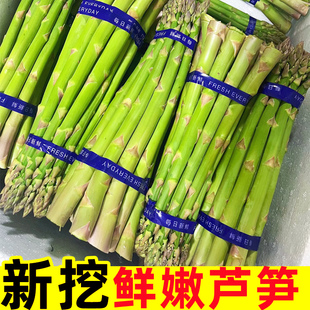 鲜嫩芦笋新鲜5斤特级小嫩笋当季 现摘绿蔬菜嫩青笋尖龙须菜蔬菜