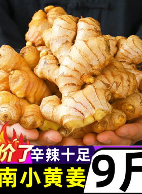 云南小黄姜10斤新鲜农家自种生姜仔姜嫩姜老姜汁月子姜沙姜包邮