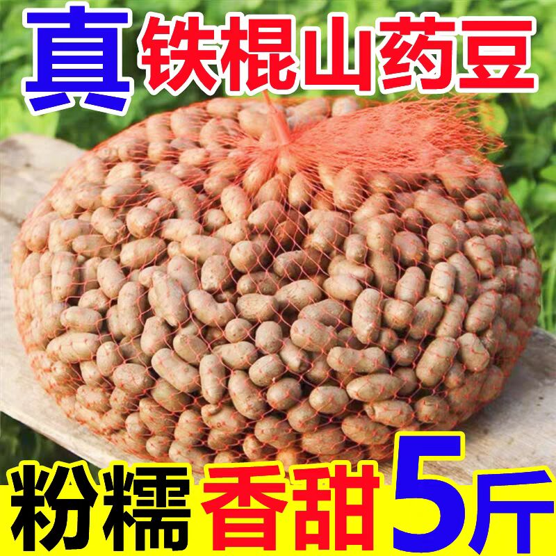 河南铁棍山药豆5斤新鲜现摘铁杆淮山药小白嘴焦作冰糖葫芦用豆3