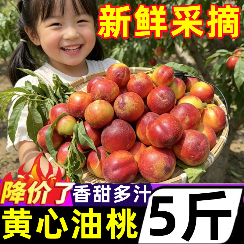 正宗黄心油桃5斤新鲜水果应当季大黄桃子水9蜜桃孕妇脆蜜桃整箱
