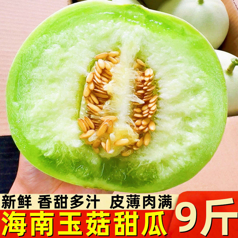 山东冰淇淋玉菇甜瓜9斤新鲜水果应当季香瓜蜜瓜脆甜密瓜整箱包邮,水产肉类/新鲜蔬果/熟食,甜瓜,淘宝优惠券,粉丝福利购,淘宝优惠卷