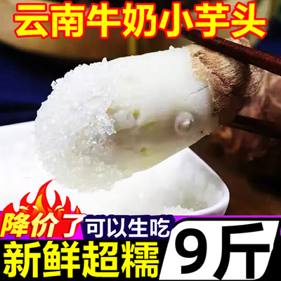 云南牛奶小芋头毛芋小香芋槟榔芋