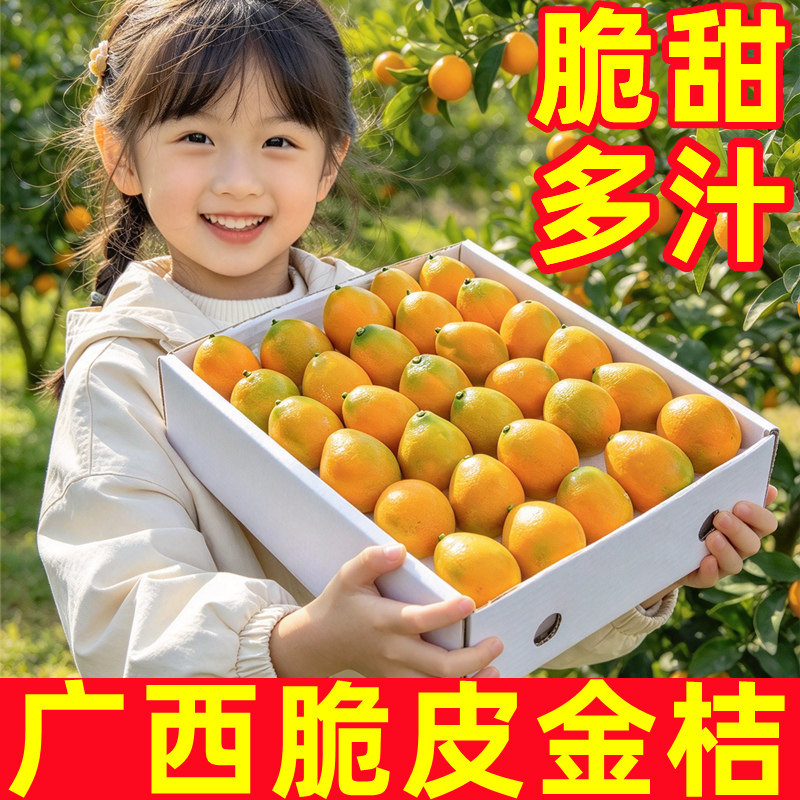广西桂林脆皮金桔新鲜