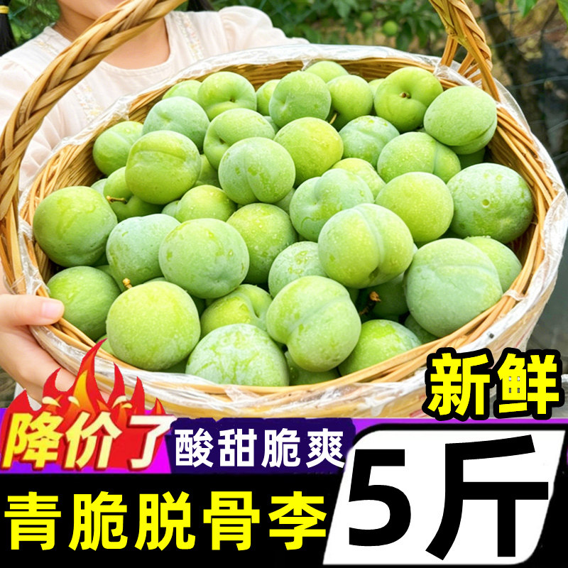 正宗青脆脱骨李子新鲜5斤应当季水果脆甜蜜李冰糖巫山脆李整箱