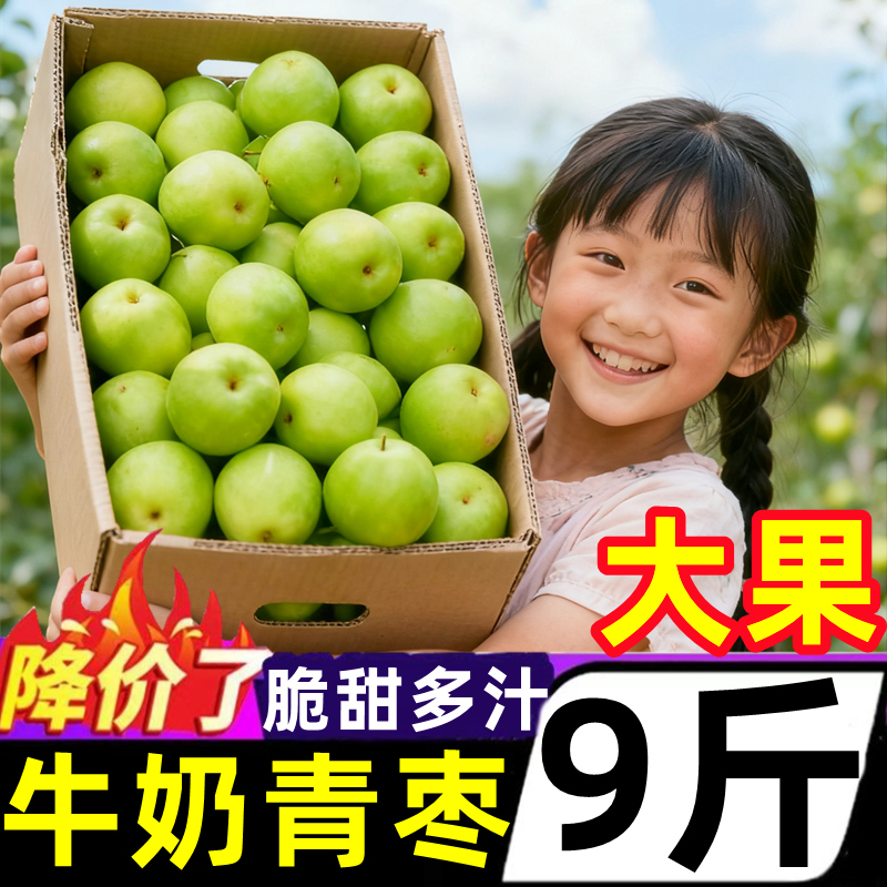 云南牛奶大青枣新鲜脆甜