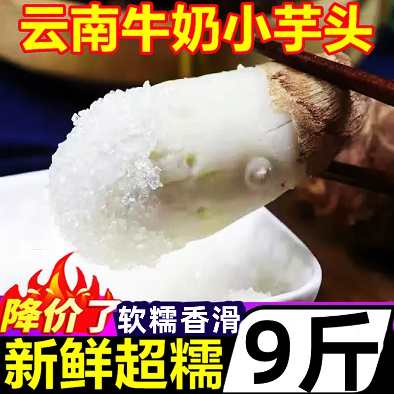 云南牛奶小芋头9斤毛芋头新鲜蔬菜小香芋槟榔芋芋艿农家自种红芽