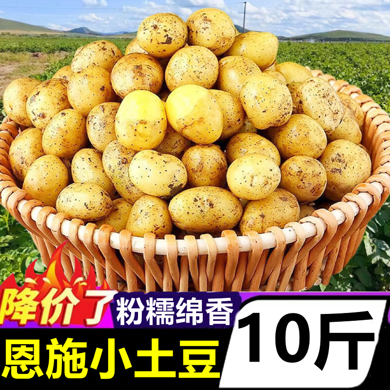 湖北小土豆新鲜10斤现挖迷你马铃薯洋芋粉糯黄心土豆当季蔬菜整箱,水产肉类/新鲜蔬果/熟食,土豆,淘宝优惠券,粉丝福利购,淘宝优惠卷