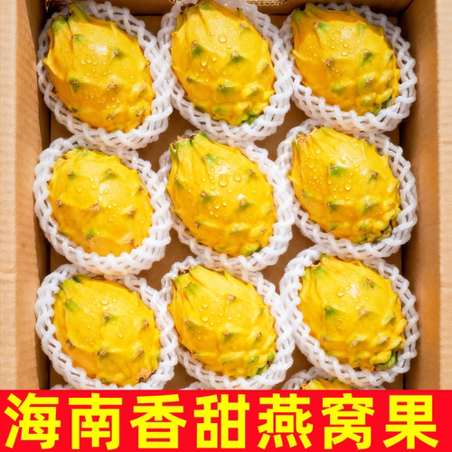 正宗新鲜燕窝果香甜多汁