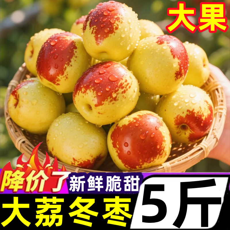 正宗陕西大荔冬枣新鲜5斤当季大果水果枣子冰糖特大脆甜红枣整箱