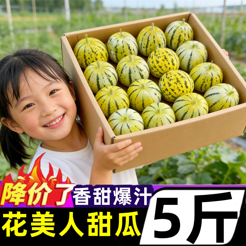 正宗花美人甜瓜新鲜5斤水果香甜八里香脆甜香花皮姑娘花蕾整箱
