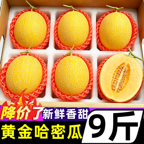 正宗海南金色哈密瓜新鲜